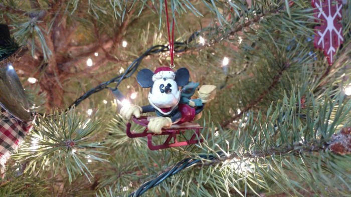 IMG_20171217_094734495